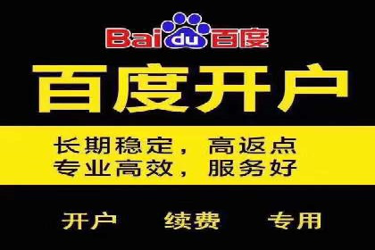 百度竞价托管公司案例分析：打造行业领军企业